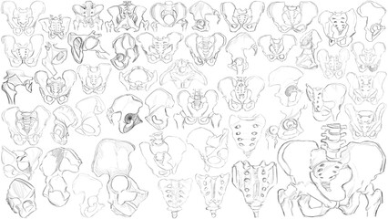 Body Anatomy, Eyes, Ears, Noses, Heads, Legs, Skulls, Arms, Geometic Forms and Cloth