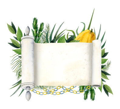Sukkot banner tempate with blank Torah scroll and symbols watercolor  isolated on white background. Four species etrog fruit, hadass, lulav, aravah, myrtle and willow