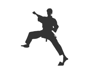 Fototapeta na wymiar Karate silhouette. Vector illustration design.