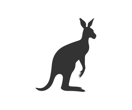 Kangaroo silhouette. Vector illustration design.
