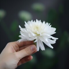 White flower in hand