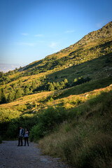 Fototapeta na wymiar Evevning hiking to Cherni vrah peak, Vitosha mountain, Bulgaria