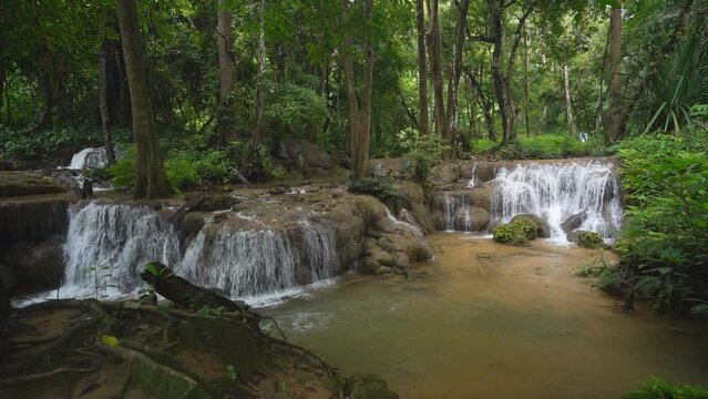 waterfall stream on nature clear slow motion water and green jungle to tree roots in natural forest or rainforest at Kroeng Krawia waterfall in Thailand on rainy season for wild landscape background
