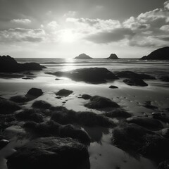 Naklejka premium A landscape photo of a beach