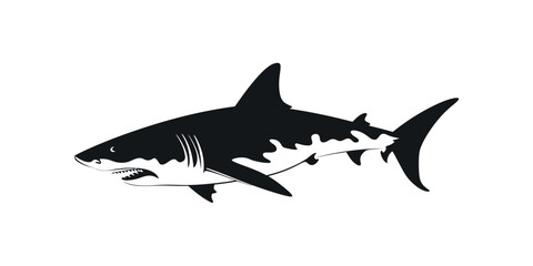 Shark silhouette. Vector illustration design.