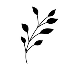 Plant silhouette.plant shadow.