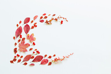 autumn red leaves on white background