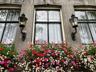 View of house glass windows of front facade of building with black white frames on glass and Victorian era gas lamps on stone wall and floral displays of baskets with pink white flowers in full bloom