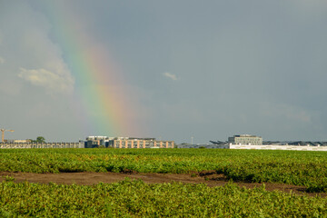 Tęcza nad Rębiechowem © EwaAF