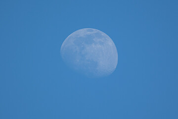 Mond am Abend