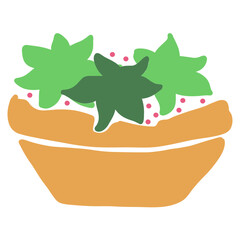cactus illustration vector