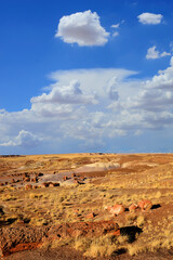 Rugged and Desolate Landscape Petrified Forest Arizona