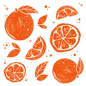 Juicy Orange Illustration Set with painted textures, vector icons 