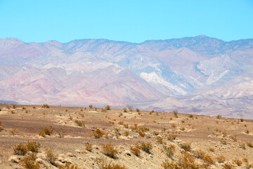 Hot desert in the U.S. on a sunny summer day.