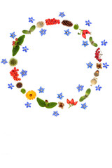 Autumn Fall Thanksgiving wreath with flowers, nuts, berry fruit seed heads and pine cones. Design on white background. Composition for card, label, gift tag, logo.