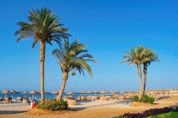 Fototapeta na wymiar Idylic beach with palms and sun umbrelas, Red Sea, Egypt