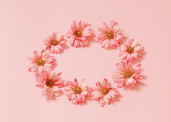  chrysanthemums on pink background  background