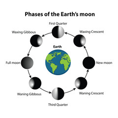 Vector illustration of moon Phases Diagram. on a white background, 