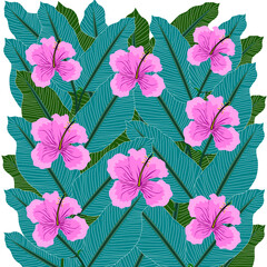 Fototapeta na wymiar pink hibiscus flower and leaf background summer floral illustration nature art decorative ornament plant green plant beautiful