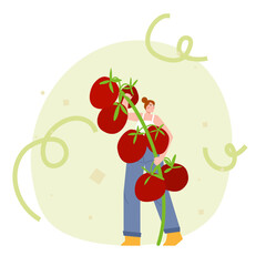 Farmer with fresh harvested vegetable. Flat vector illustration of a woman holding oversized cherry tomatoes. Person harvesting big healthy organic plant from own garden. Fresh local farm products 