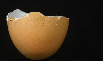 Egg shell close-up and dark background.