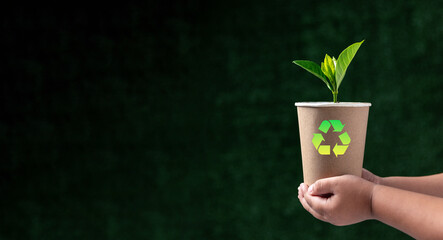 Seedling is growing in eco-friendly disposable cup made of fiber of bagasse and bamboo on table. Save the earth, waste reduction, BCG economy concept.