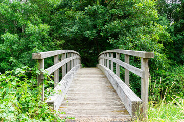 Wooden humpback foot bridge across a river leads into the unknown. Optimistic.