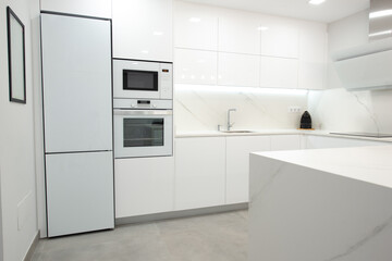 modern kitchen perfectly equipped with its appliances in a house 
