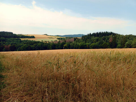 Hügelige Landschaft mit Feldern, Bäumen und Wiesen im Sommer im Saarland bei Berschweiler in der Gemeinde Marpingen, Landkreis St. Wendel. Aussicht vom Premium-Wanderweg Biberpfad. 