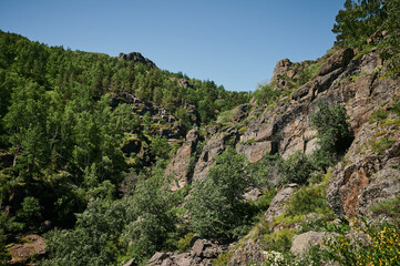 View on crooked tree on stony slope, mountain ravine beneath, sun behind tree.