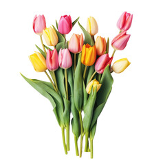 Obraz premium Colorful tulip bouquet on transparent backround with banner. Floral composition with fresh tulips. Spring and Easter concept, flat lay, copy space.