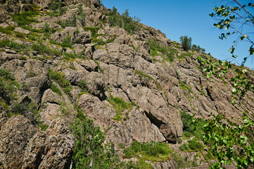 View on crooked tree on stony slope, mountain ravine beneath, sun behind tree.