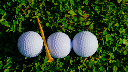 Golf ball on green grass in the evening golf course with sunshine background.