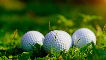 Golf ball on green grass in the evening golf course with sunshine background.