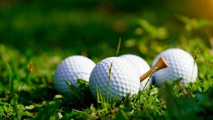 Golf ball on green grass in the evening golf course with sunshine background.