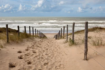 Poster de jardin Mer du Nord, Pays-Bas Sand dunes in Holland and a beach path to the North sea