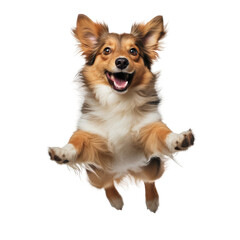 A cute and playful dog is happily playing and moving, isolated on a transparent backround.