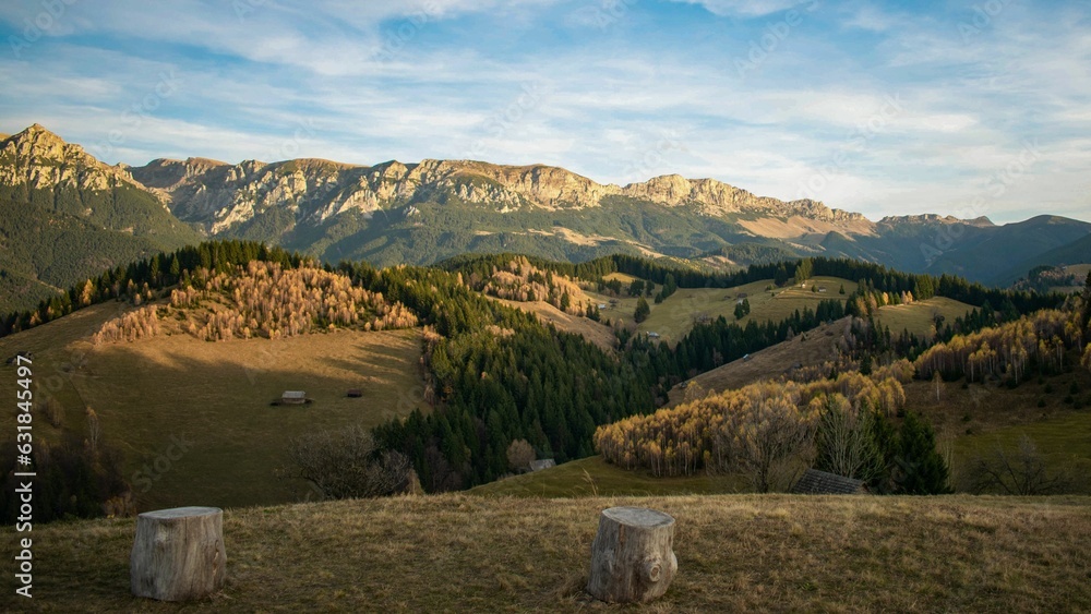 Poster aerial view of mountain landscape with dense trees