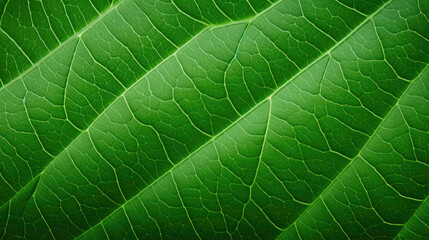 Texture of green leaf. Created with Generative AI technology.