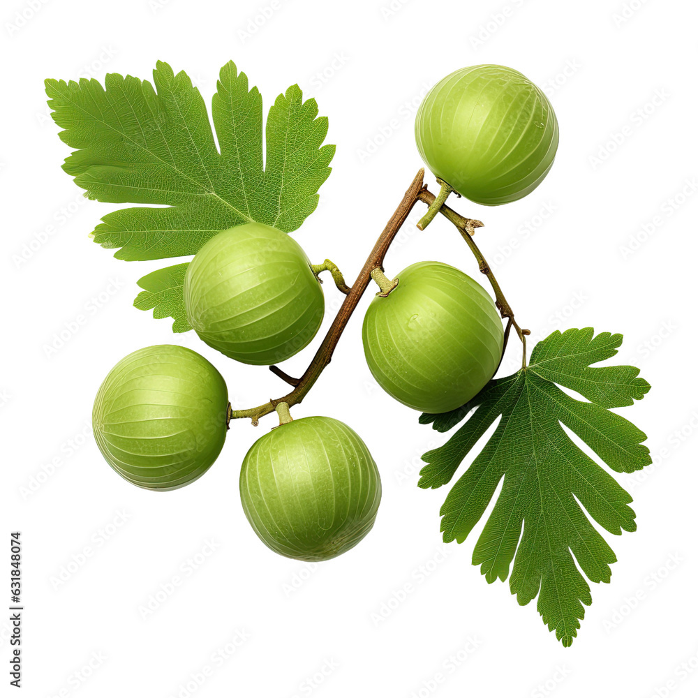 Sticker Amla fruits with green leaves isolated on transparent backround.