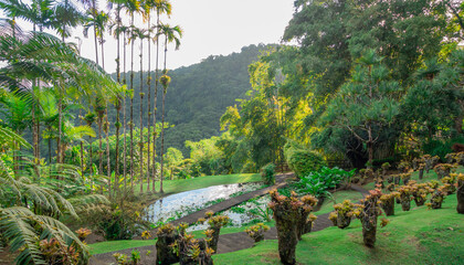 Jardins de la Balata à Fort-De-France, Martinique. Jardins exotique des Antilles Françaises.	