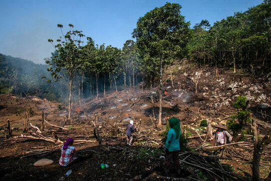 Bogor, Indonesia - August 05, 2023: Farmers are using the ancient method of slash and burn to clear their agricultural land in Bogor Regency, West Java, Indonesia