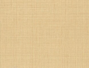 Organic Woven Texture Canvas - Rustic Brown Sackcloth Background, Ideal for decoration.