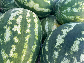 Pile of ripe watermelons for sale, closeup as background. A lot of green striped watermelons at Farmers market counter. Local harvest, organic produce at Laiki agora on streets of Athens, Greece.