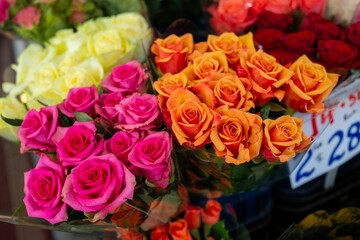 Assortment of vibrant roses displayed for purchase in a market in Auckland, New Zealand.