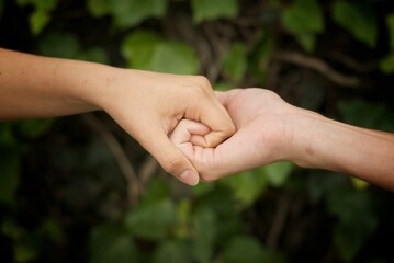 two hands holding each other with bottom of green wall with plants