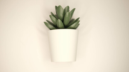 plastic plant in white background