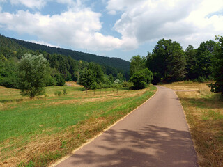 Fototapeta na wymiar Radweg bei Darstein im Pfälzerwald in der Verbandsgemeinde Hauenstein, Landkreis Südliche Weinstraße, beginnt. 