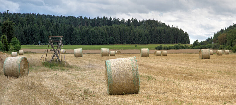 Harvest shock. A raised hide between hay bales in a mown grain field. Grazing and cover for wild animals are lost in one fell swoop, causing what is known as harvest shock.