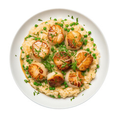 Delicious Plate of Scallop Risotto Isolated on a Transparent Background 